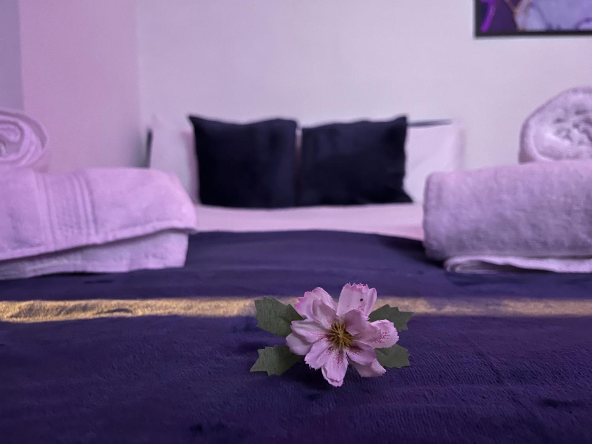 Apartment In Camden, Central Location London Eksteriør bilde