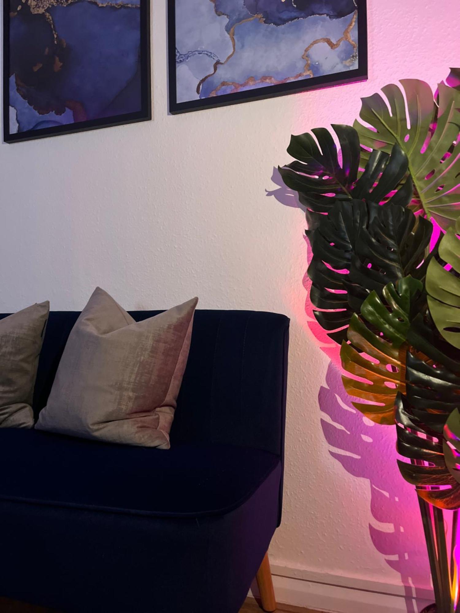 Apartment In Camden, Central Location London Eksteriør bilde